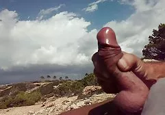 有大山雀的性感的浅黑肤色的男人他们做了热性