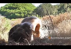 充满激情的黑发小山雀玩电动振动器