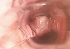 黑头发的年轻女孩弯下腰，她在屁股被记入