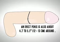 肛交和嘴巴结束