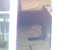 Yana给一位妇科医生送了一个女同性恋者用绑带来操蛋