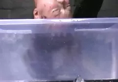 长发的宝贝甜甜地呻吟，同时在她的双腿之间抽搐