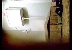 逗人喜爱的女孩在长毛的猫投入她的手指和棒棒糖